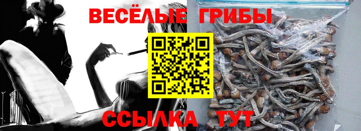 Луга  закладка  Вход с VPN  Галлюциногенные грибы мицелий 