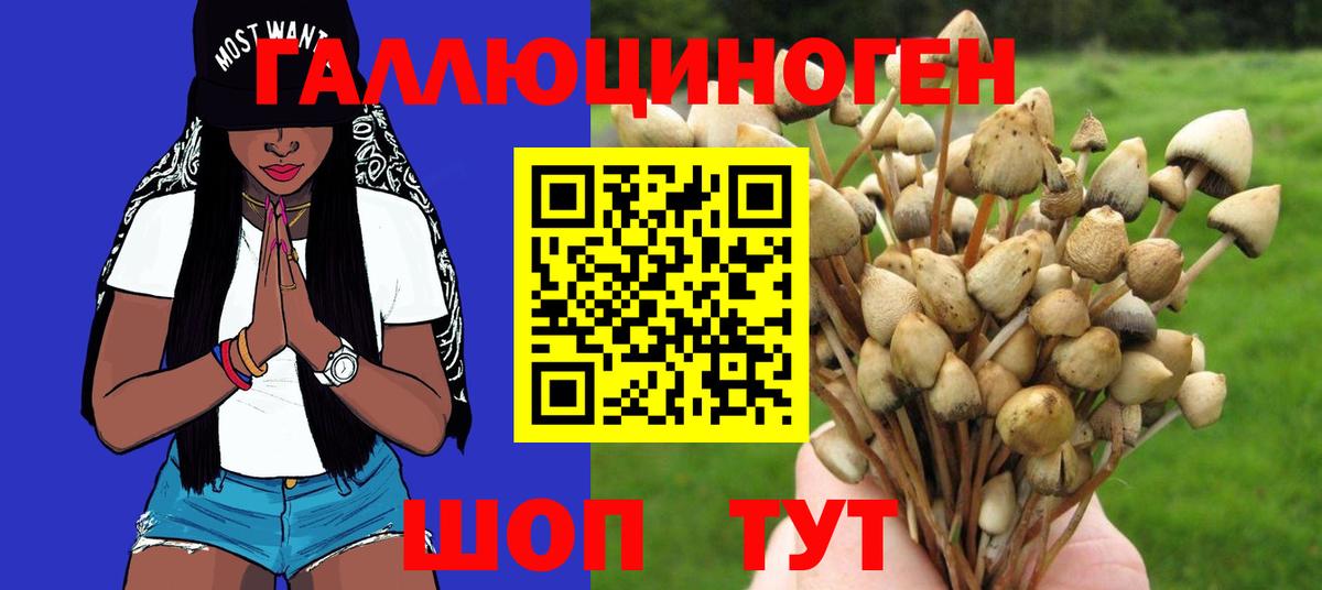 Канабис  ГАШИШ  Луга  А ПВП СК   Мефедрон кристаллы  COCAIN  Вход с VPN 
